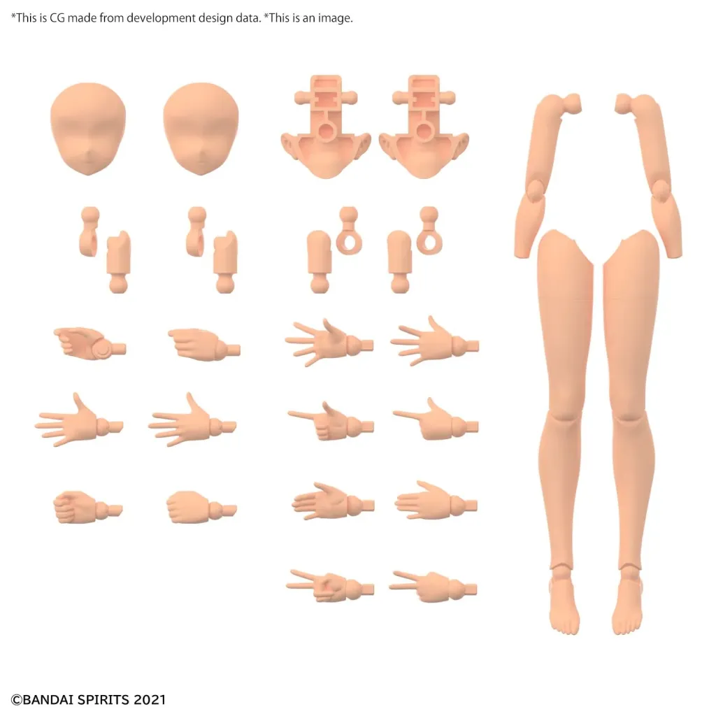 30MS - 30MS Option Body Parts Arm & Leg Parts (Color C) - Model Kit